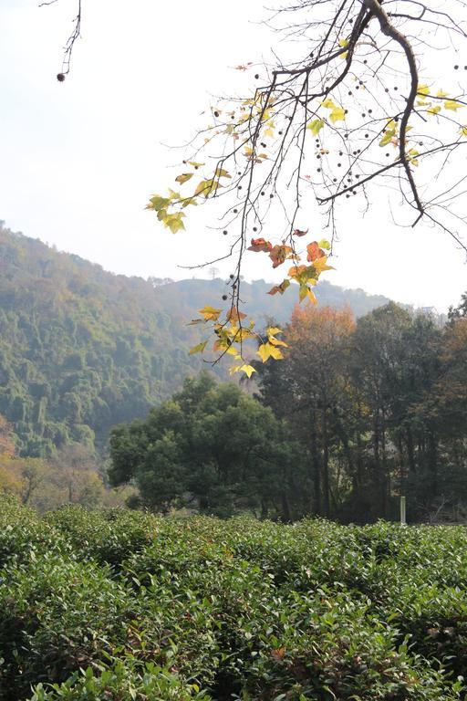 Landison Longjing Resort Hangzhou Exterior foto